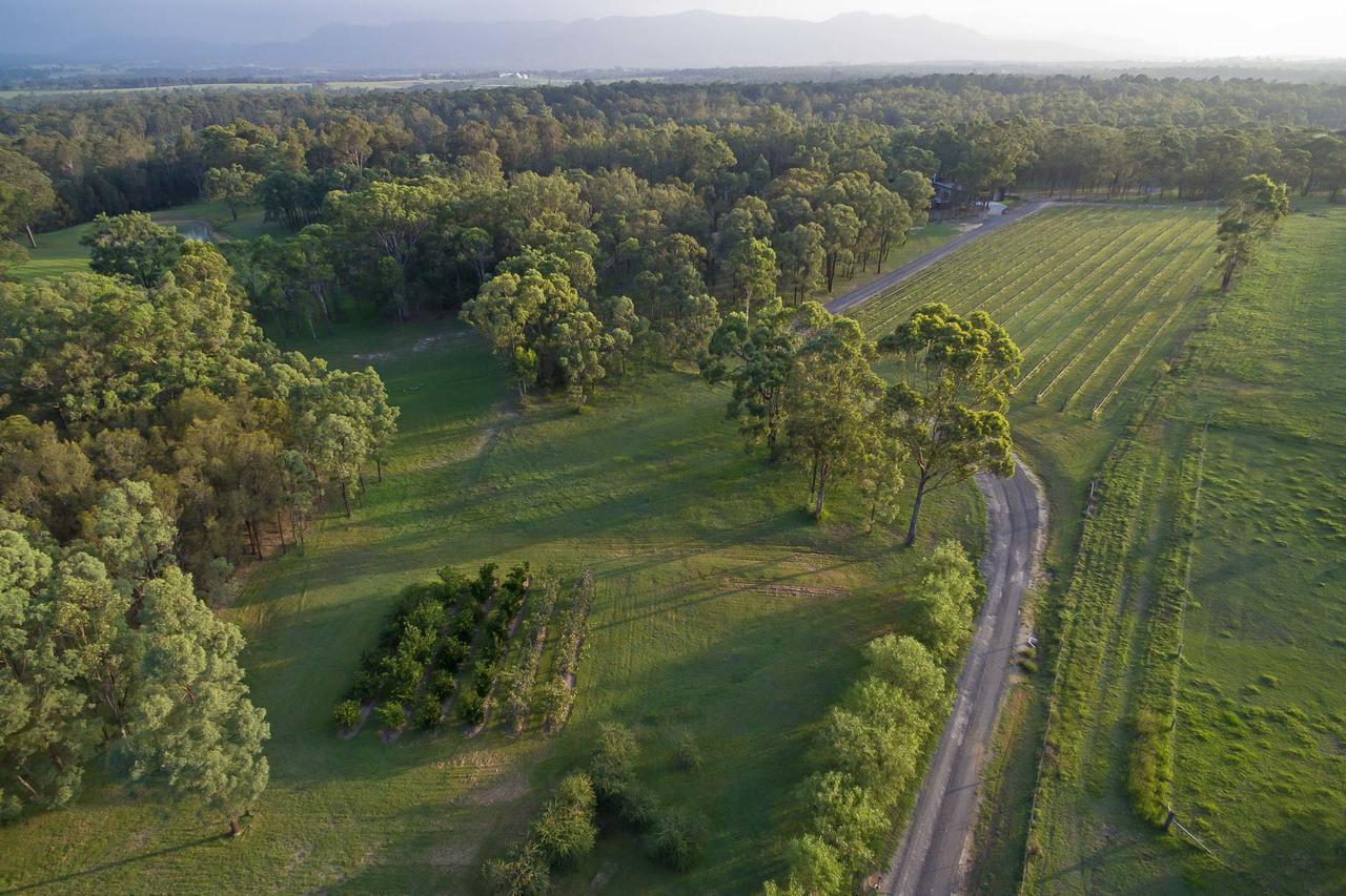 Deja Vu Estate Villa Pokolbin Kültér fotó
